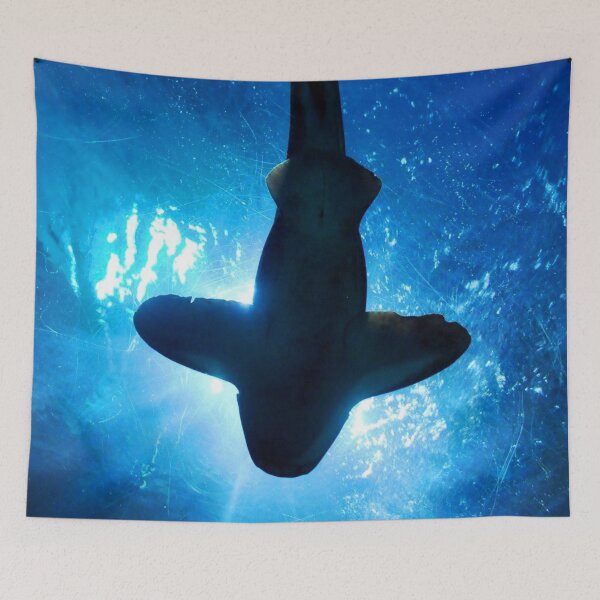 Item preview, ANIMALS #84 - Shark Silhouette Beneath Sun Rays designed and sold by DEL-Productions.