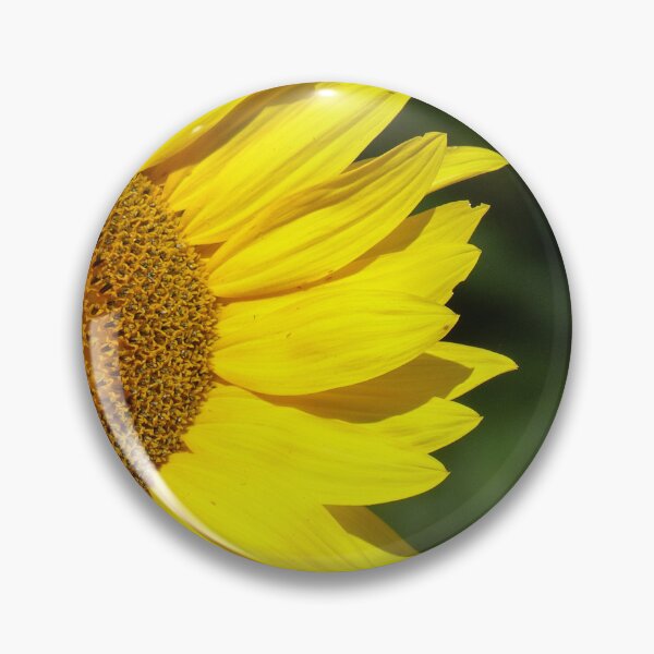 Item preview, Sunflower designed and sold by Frankie Cat Photography.
