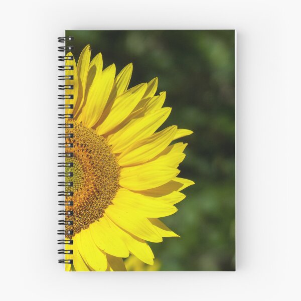 Item preview, Sunflower designed and sold by Frankie Cat Photography.