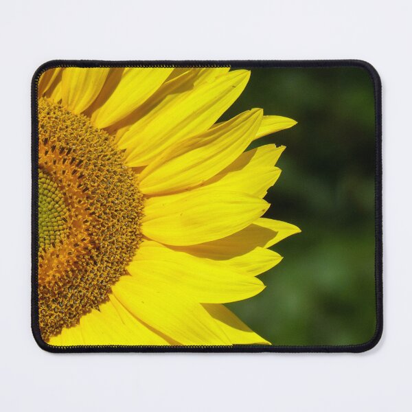 Item preview, Sunflower designed and sold by Frankie Cat Photography.