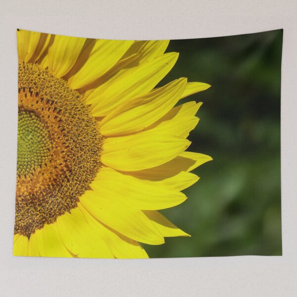 Item preview, Sunflower designed and sold by Frankie Cat Photography.