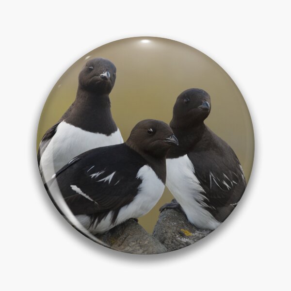 Item preview, The Little Auk Trio designed and sold by Orianah.