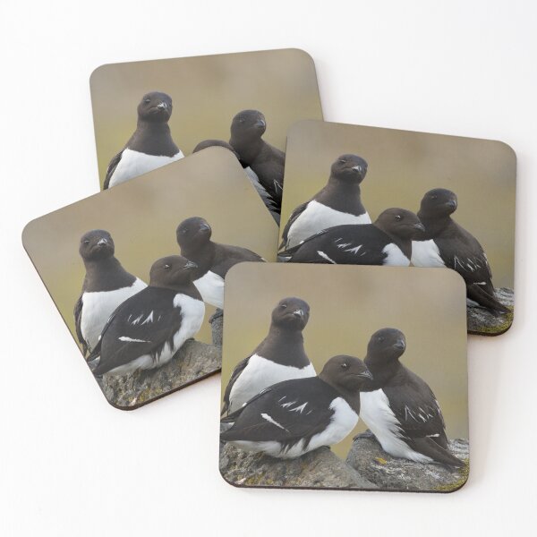 Item preview, The Little Auk Trio designed and sold by Orianah.