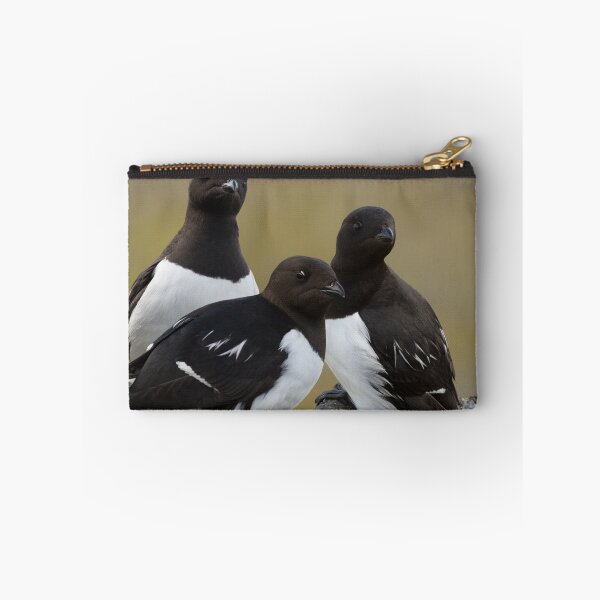 Item preview, The Little Auk Trio designed and sold by Orianah.