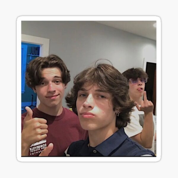 sturniolo triplets Sticker