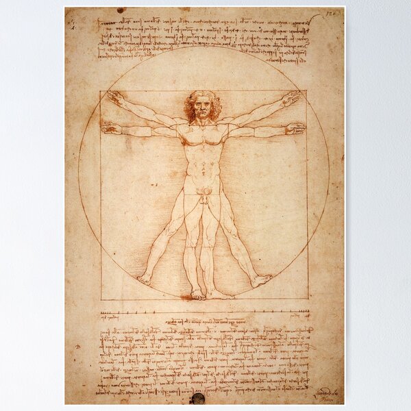 Aperçu de l'œuvre Homme de Vitruve, Léonard de Vinci créée et vendue par fourretout.