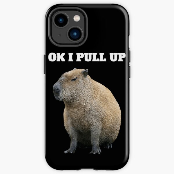 4d capybara wallpaper for iphoneTikTok Search