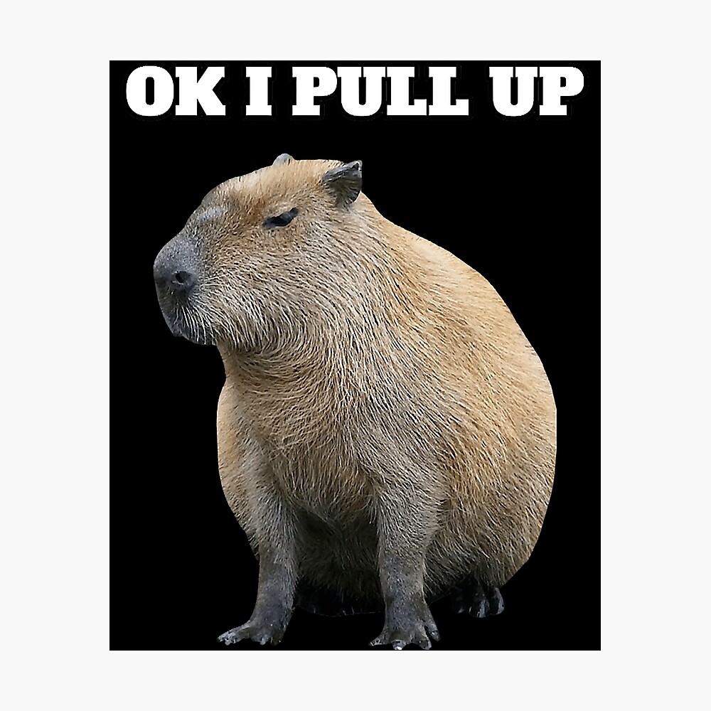 Ok I Pull Up Capybara" Poster for Sale by GunillaBlau | Redbubble