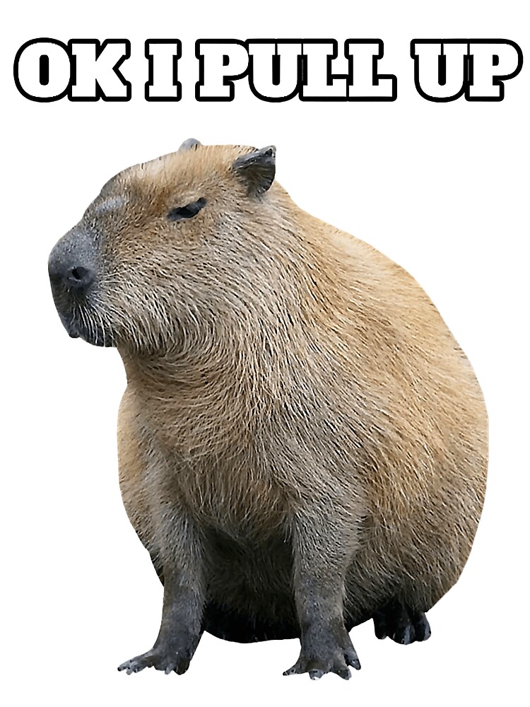 Designs PNG de capivara para Camisetas e Merch