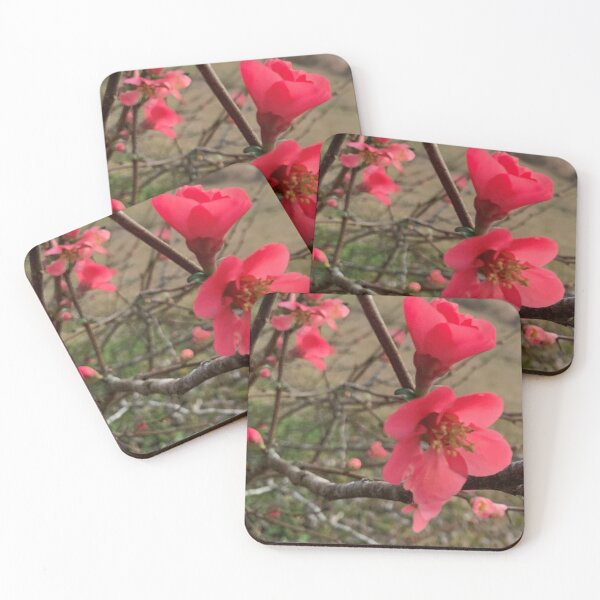Item preview, Quince Fruit Blooms designed and sold by OldDaysPast.