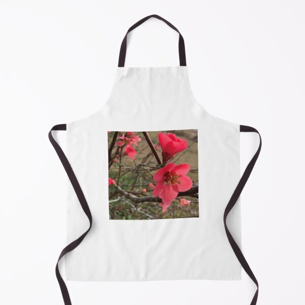 Item preview, Quince Fruit Blooms designed and sold by OldDaysPast.