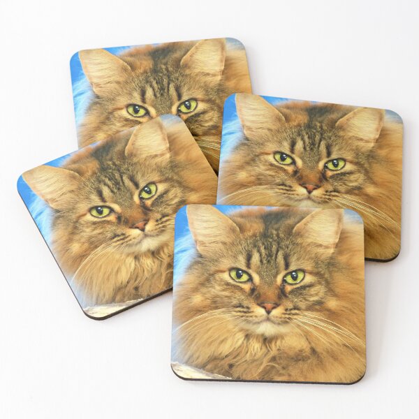 Item preview, Long Haired Cat designed and sold by Frankie Cat Photography.