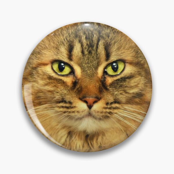 Item preview, Long Haired Cat designed and sold by Frankie Cat Photography.