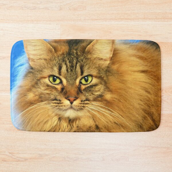 Item preview, Long Haired Cat designed and sold by Frankie Cat Photography.