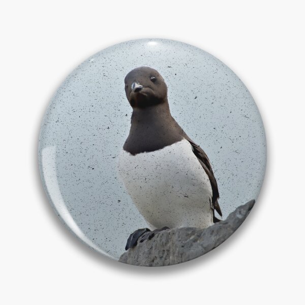 Item preview, Well this is a Little Auk-ward, nothing wrong with that, embrace our Auk-wardness designed and sold by Orianah.
