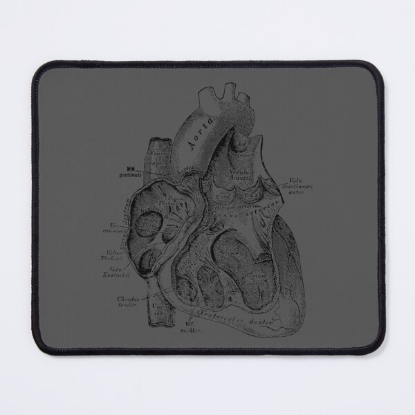 Item preview, Right Chamber of the Human Heart Anatomy designed and sold by ridiqeqi.