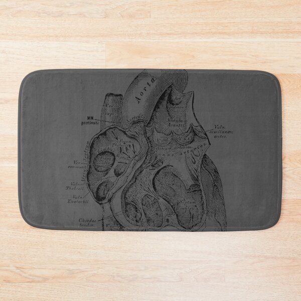 Item preview, Right Chamber of the Human Heart Anatomy designed and sold by ridiqeqi.