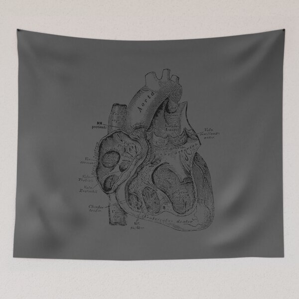 Item preview, Right Chamber of the Human Heart Anatomy designed and sold by ridiqeqi.