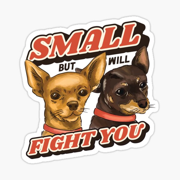Klein, aber wird gegen Ihre Chihuahua-Hundehaltung kämpfen Sticker