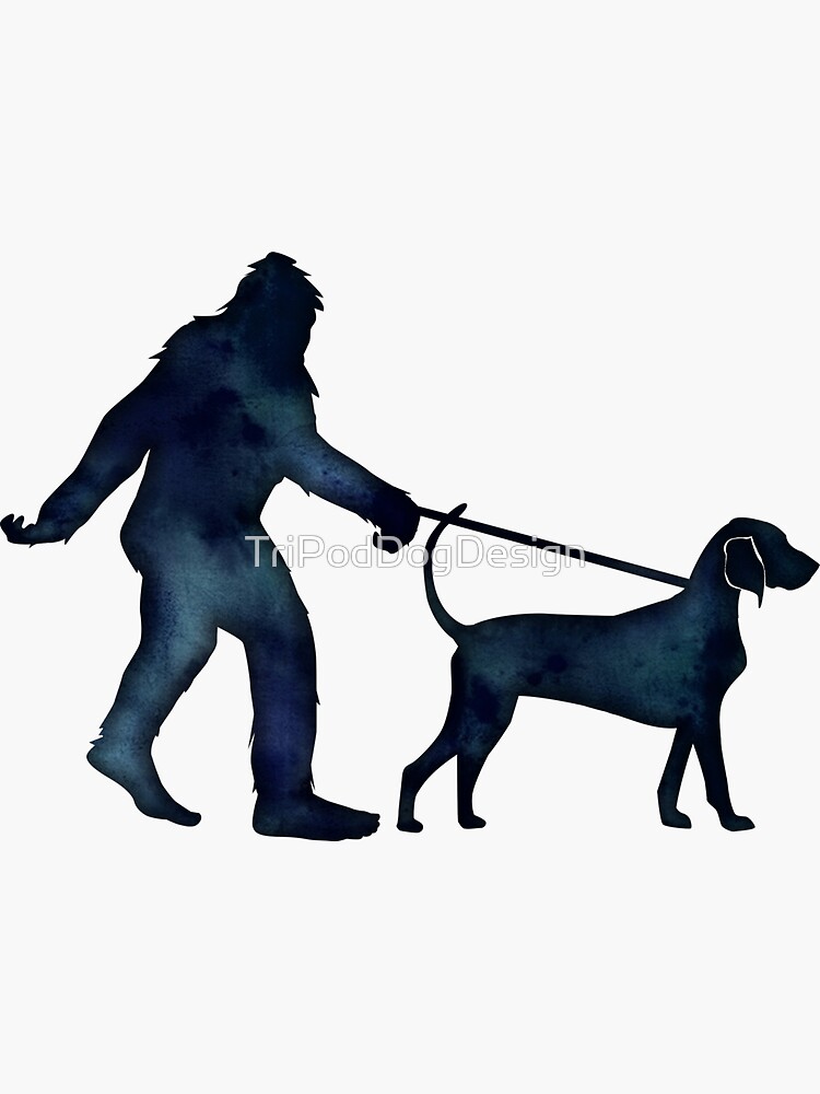 Thumbnail 3 of 3, Sticker, Bigfoot Walking His Bluetick Coonhound designed and sold by TriPodDogDesign.