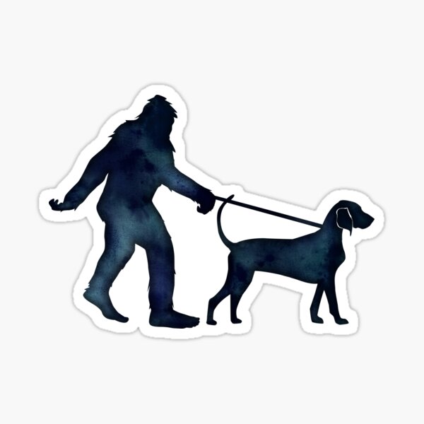 Bigfoot Walking His Bluetick Coonhound Sticker