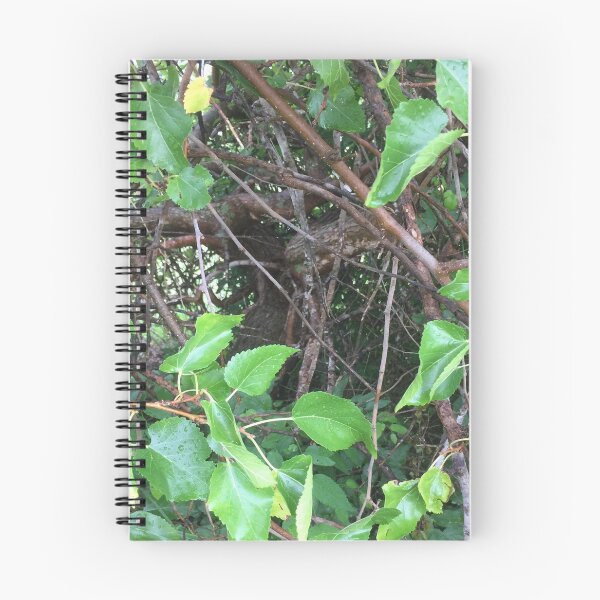Item preview, Enchanted Weeping Crepe Myrtle  designed and sold by Cherylgrayum.