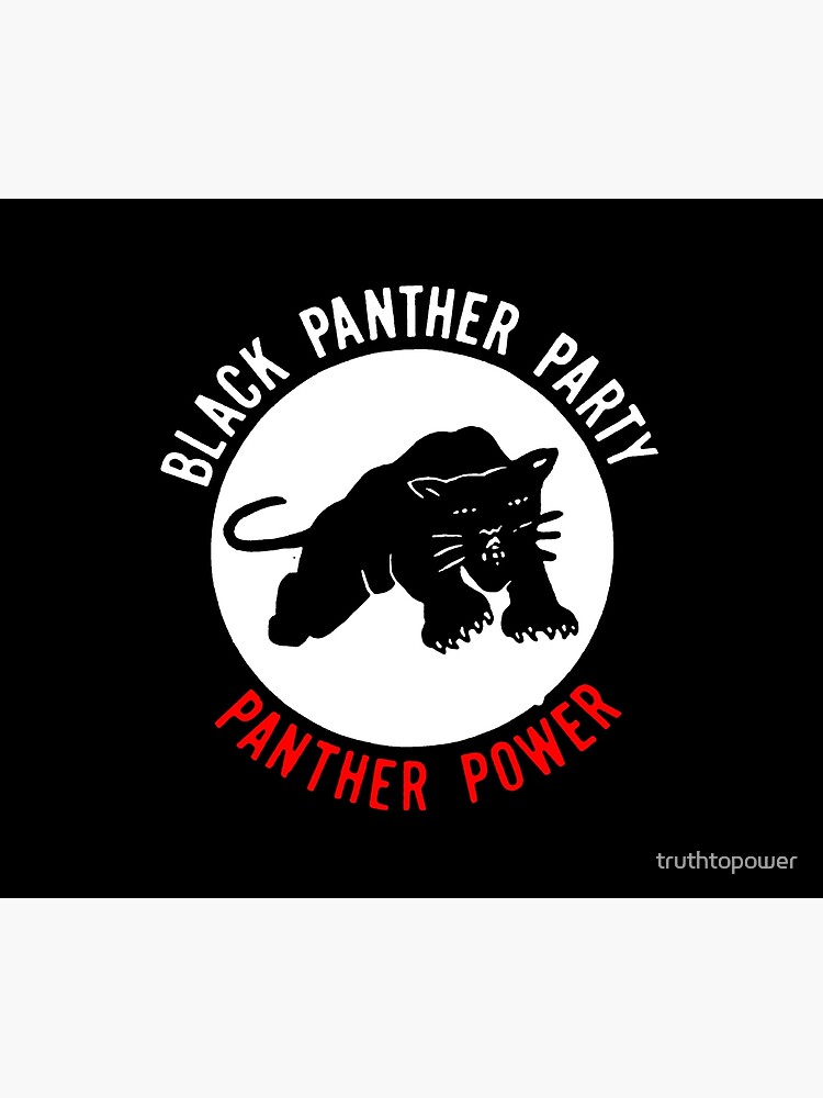 THE BLACK PANTHER PARTY by truthtopower
