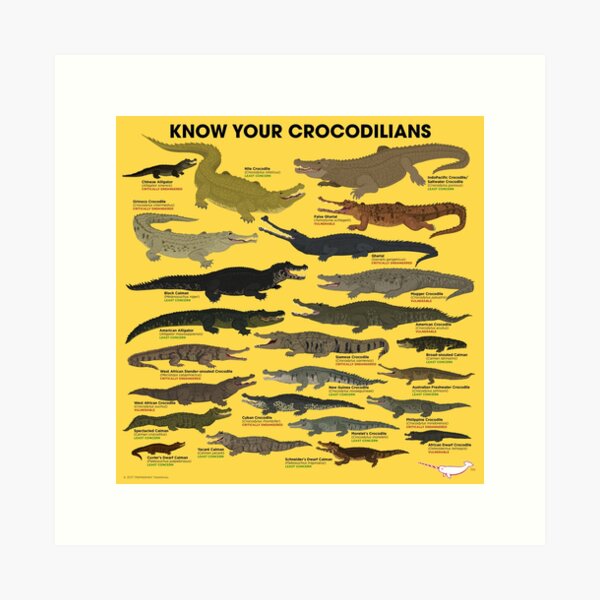 Item preview, Know Your Crocodilians designed and sold by Peppermint Narwhal.