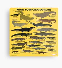 Know Your Crocodilians Metal Print