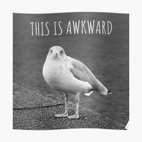 "This is Awkward, Bird Meme" Poster for Sale by SevillaAnimals Redbubble