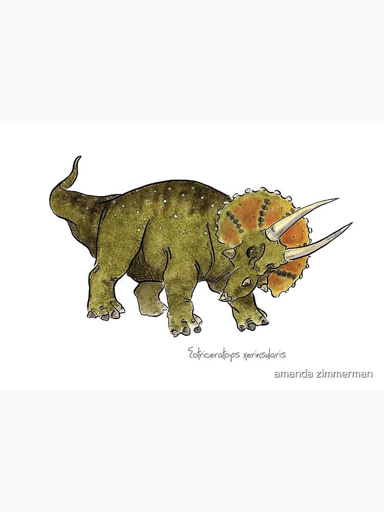 Eotriceratops xerinsularis