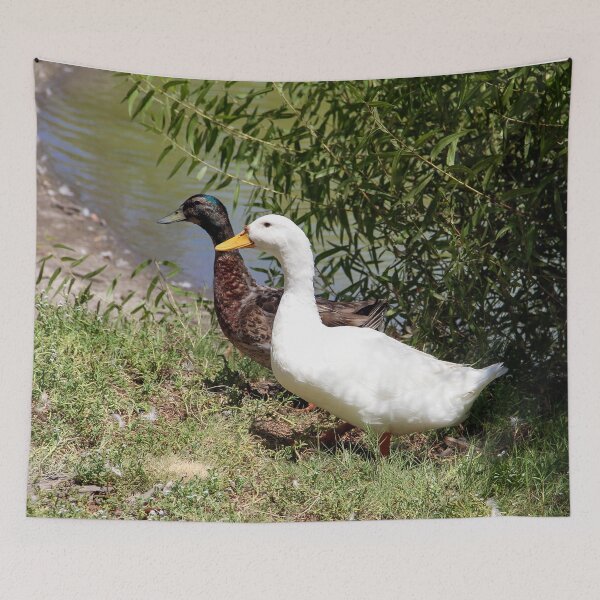 Item preview, Best Friends designed and sold by heatherfriedman.
