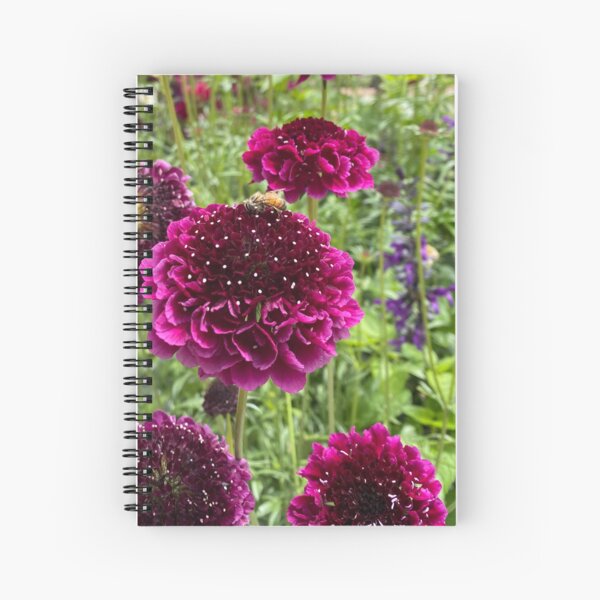 Honey bee at work Spiral Notebook