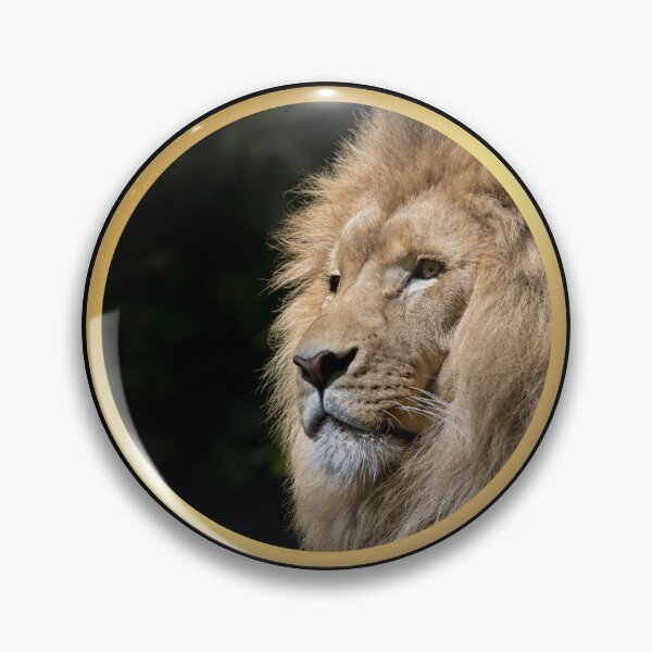 Dominant Woman Pins And Buttons For Sale | Redbubble