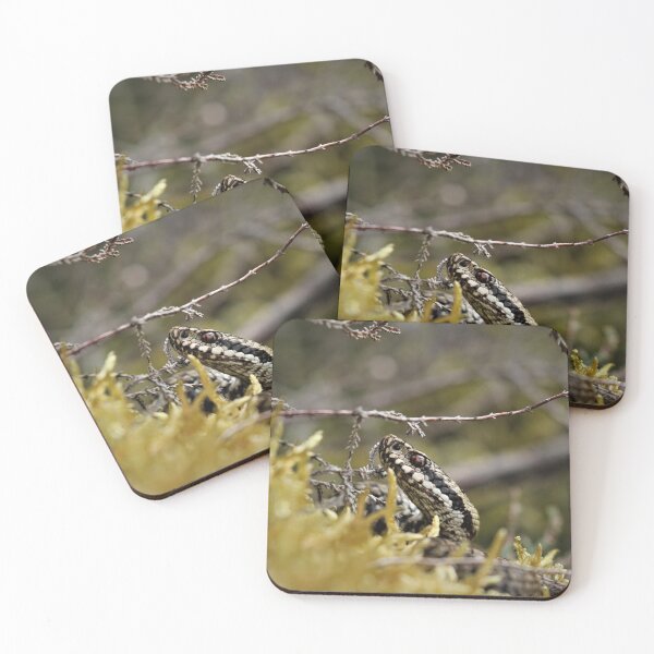 Item preview, Adder - Vipera berus designed and sold by Christian Moss.