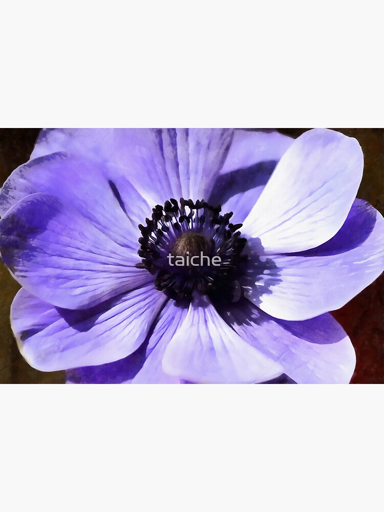 Artistic Lilac Blue Anemone Wildflower Sticker for Sale by taiche