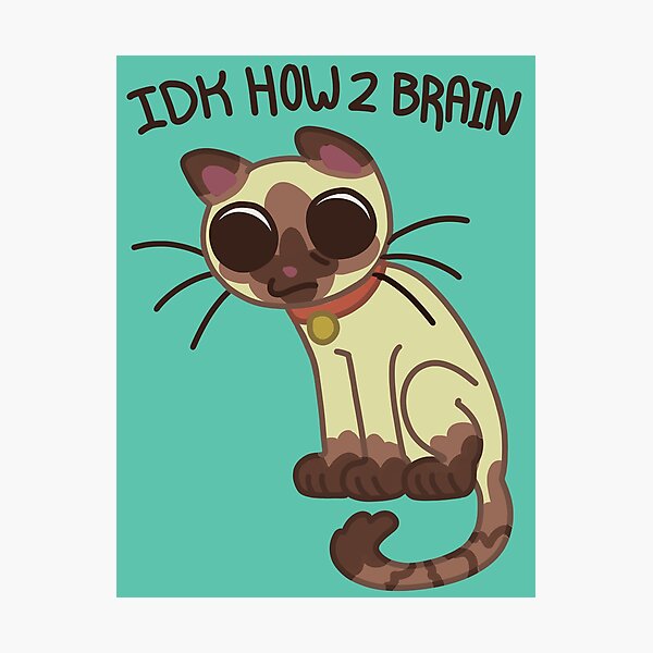 Item preview, IDK HOW 2 BRAIN designed and sold by LESSIELAMEster.