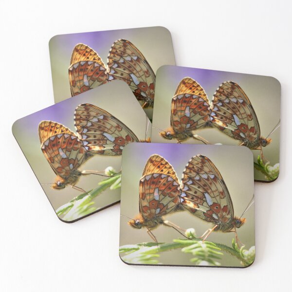 Item preview, Pearl-bordered fritillary - mating pair. designed and sold by Christian Moss.