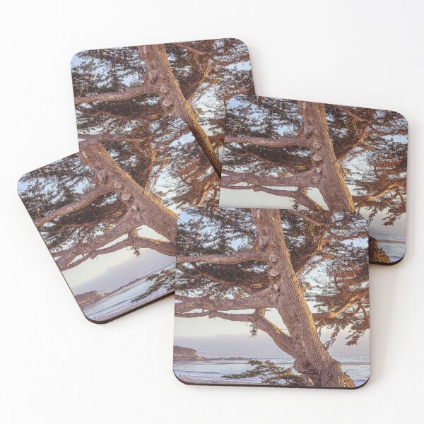 Item preview, Trees of California's coastline along California State Route 1, one of the most famous and spectacular drives in the United States #5 designed and sold by Studio Rosa.