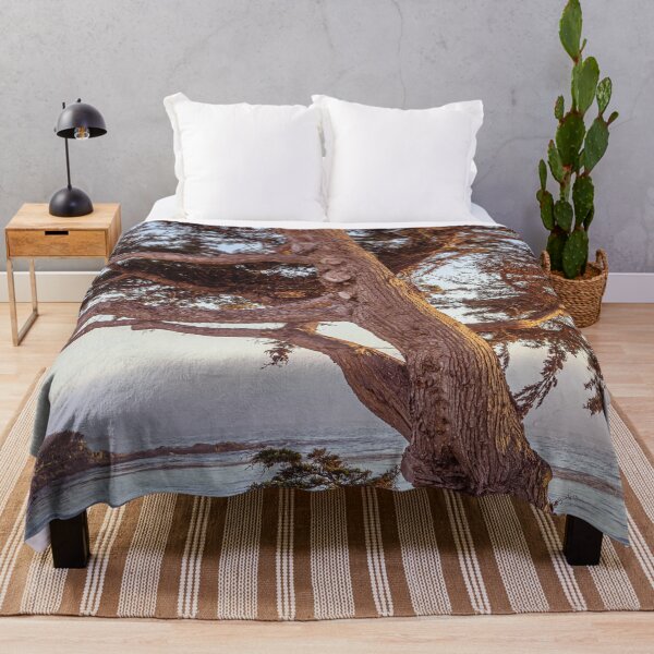 Item preview, Trees of California's coastline along California State Route 1, one of the most famous and spectacular drives in the United States #5 designed and sold by Studio Rosa.
