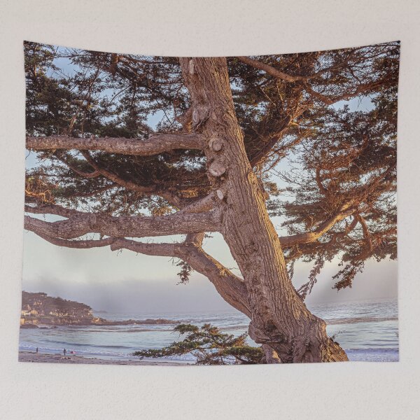 Item preview, Trees of California's coastline along California State Route 1, one of the most famous and spectacular drives in the United States #5 designed and sold by Studio Rosa.