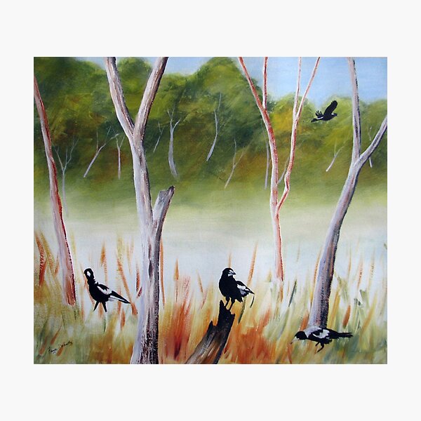 Item preview, Magpies of the Aussie bush designed and sold by FayeDoherty.