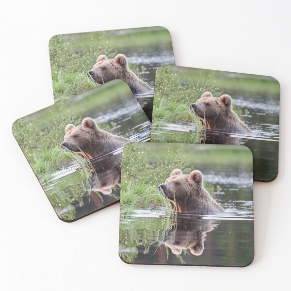 Item preview, That mermaid feeling. Brown bear designed and sold by Jouko Lehto Photography.