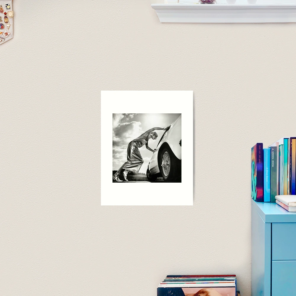 THe Best Of Helmut Newton Poster