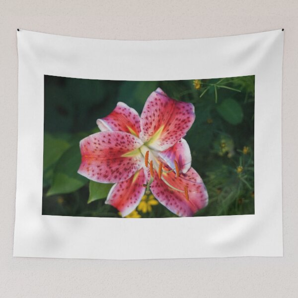 Item preview, Daylily designed and sold by linechangephoto.