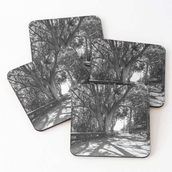 Item preview, Trees of California's coastline along California State Route 1, one of the most famous and spectacular drives in the United States #5 designed and sold by Studio Rosa.
