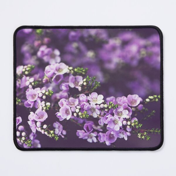 Item preview, Australian Flora - Purple Thryptomene flowers designed and sold by Cloudlingpics.