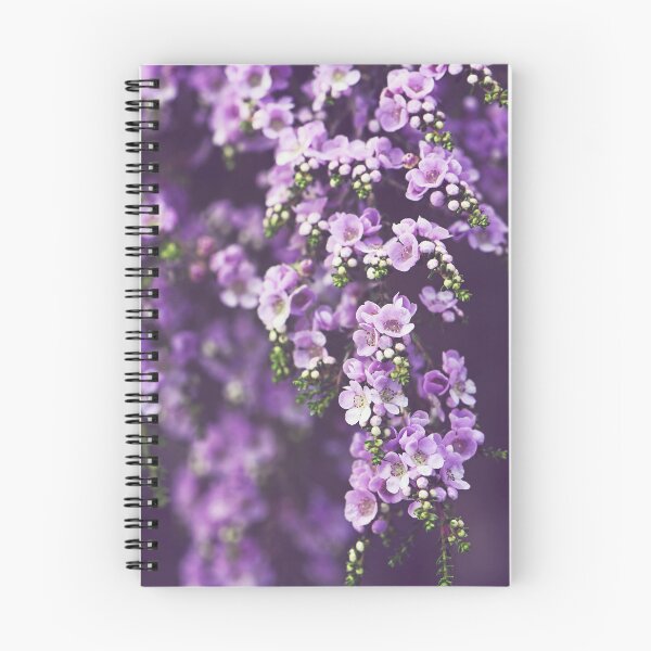 Item preview, Australian Flora - Purple Thryptomene flowers designed and sold by Cloudlingpics.