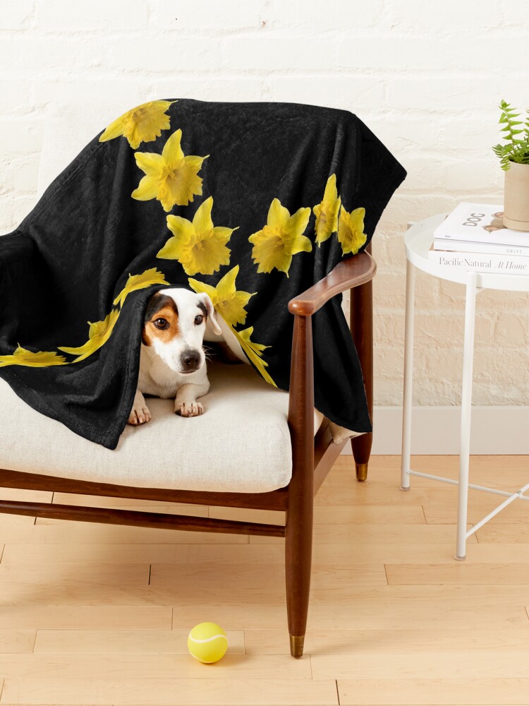 Alternate view of Daffodils of St David Pet Blanket