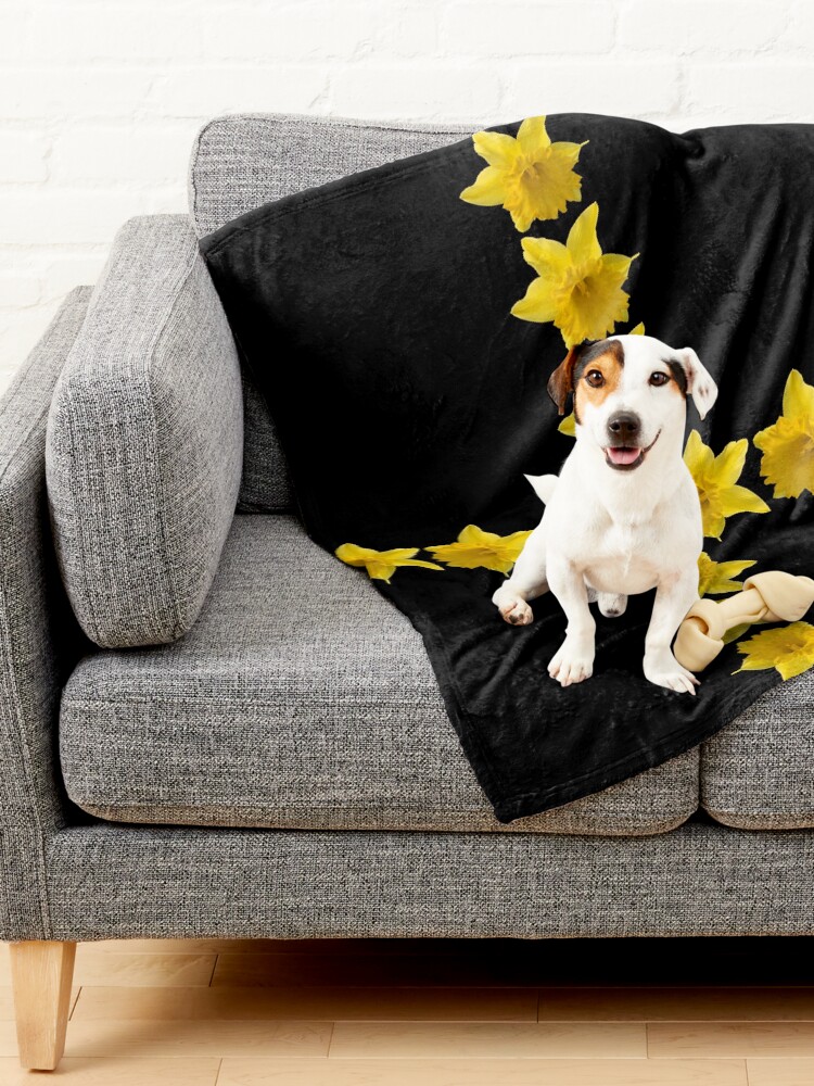 Alternate view of Daffodils of St David Pet Blanket